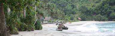 Eco_Feature_Image