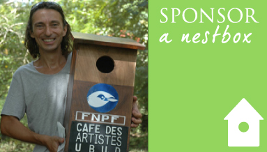 Sponsor a Bali Starling Nestbox