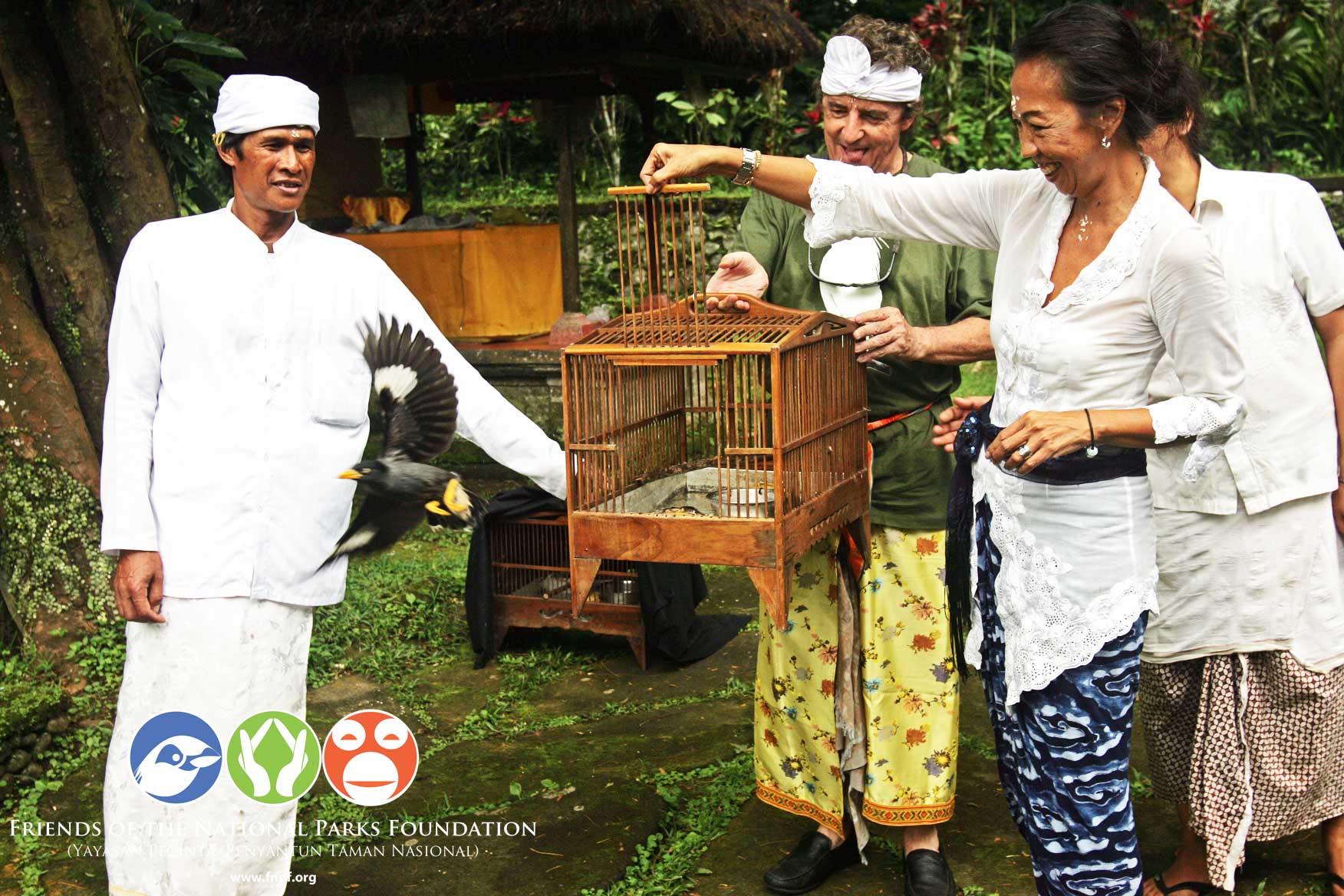 Javan Myna release project on Besikalung