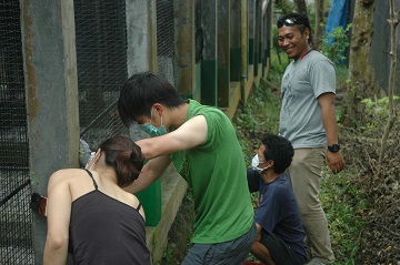Japanese students help at FNPF wildlife rescue center