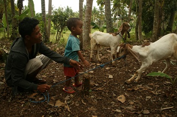 Saren villagers and goat microfinance project