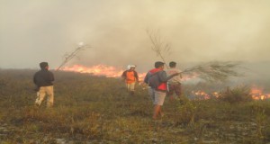 Forest fire near our site.