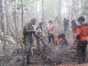 The fire has spread into the peat layer. The team have to dig a hole and spray water into it.