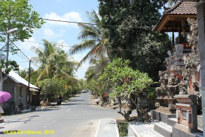 Lazy street of Pejeng