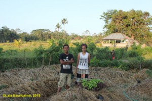 Local organic farmers at of Pejeng