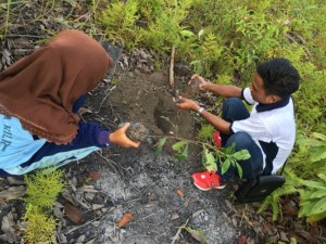 Planting trees