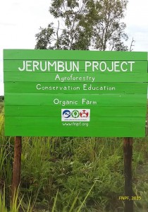 Our Project in Jerumbun