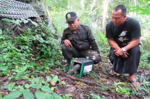 The Pangolin is Finally Free