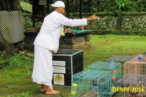 The Priest Is Blessing the Eagle and Porcupines