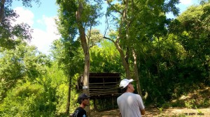 David and our staff Ketut are observing the forest near FNPF's Center.