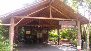 Our Office in Borneo