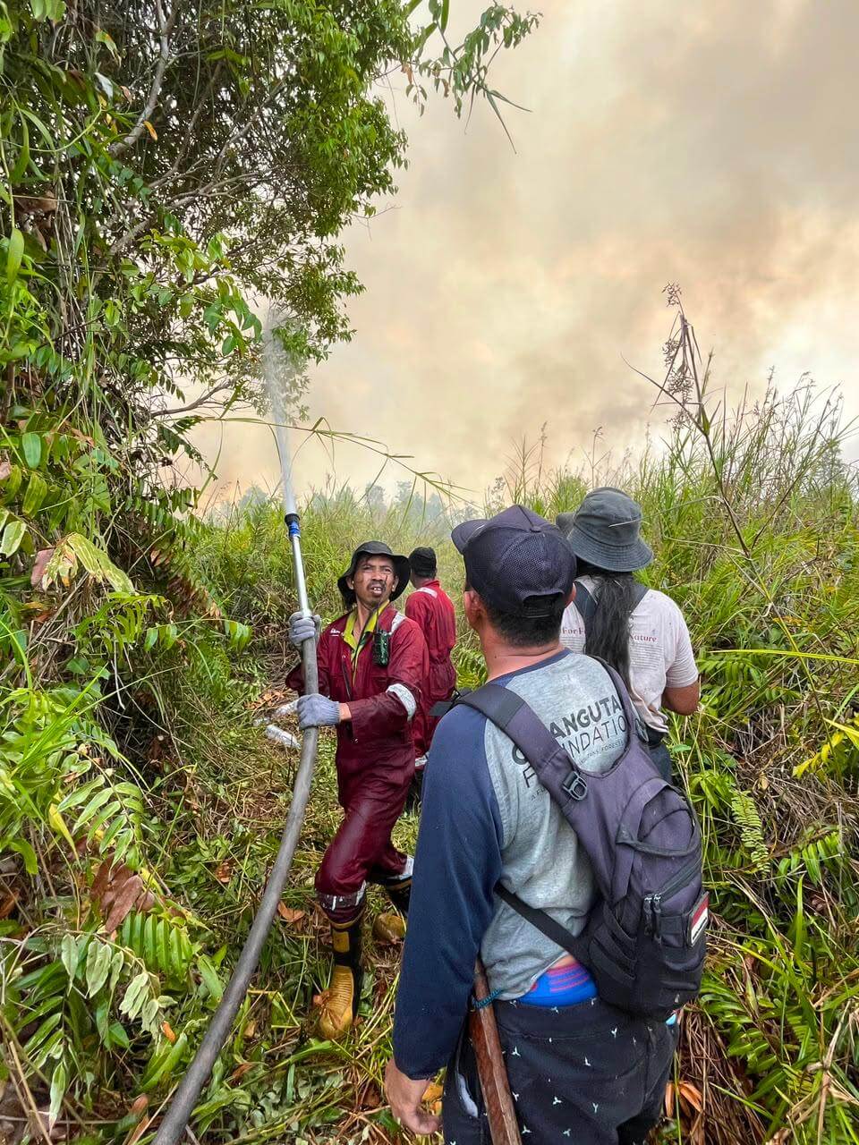FNPF firefighting team moving through dense vegetation toward the Jerumbun fire zone