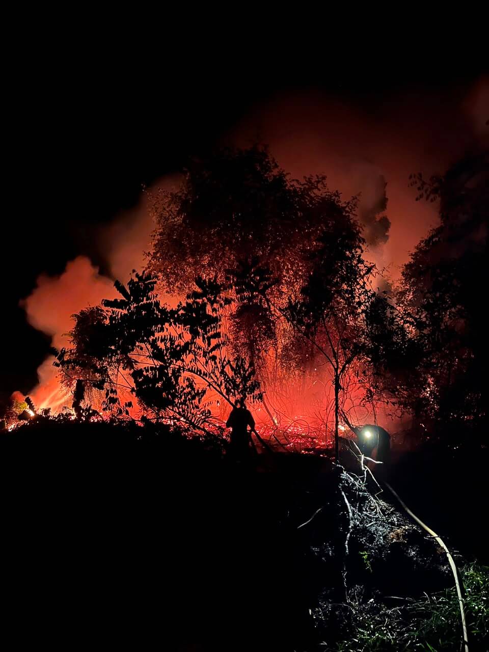 Wildfire burning through the Jerumbun conservation forest in Central Kalimantan at night