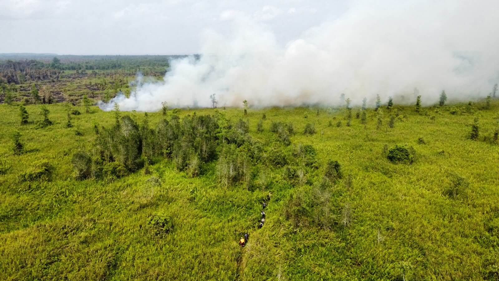 Aerial view of wildfire smoke spreading across the Jerumbun forest landscape in Central Kalimantan